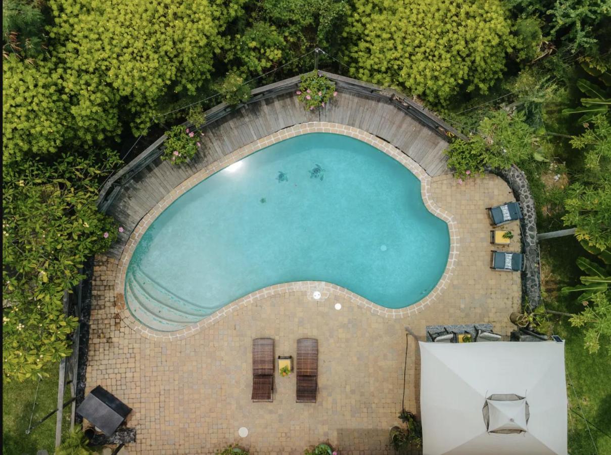 The Koi House With Pool Lägenhet Kailua-Kona Exteriör bild